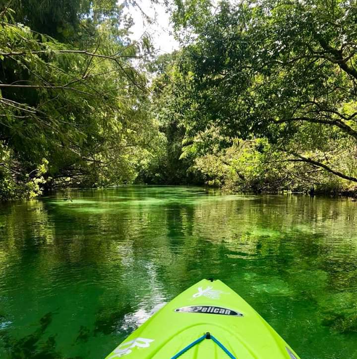 kayaking in weeki wachee