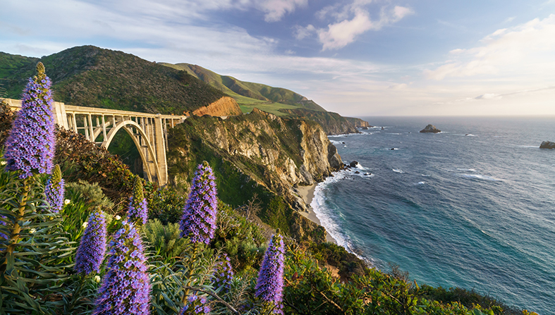 bigsur
